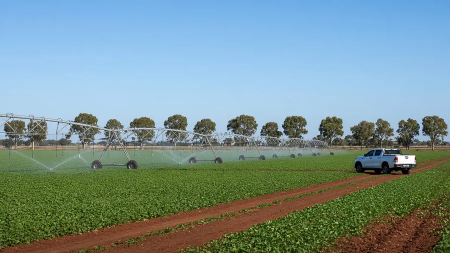 Irrigator over a lucerne paddock